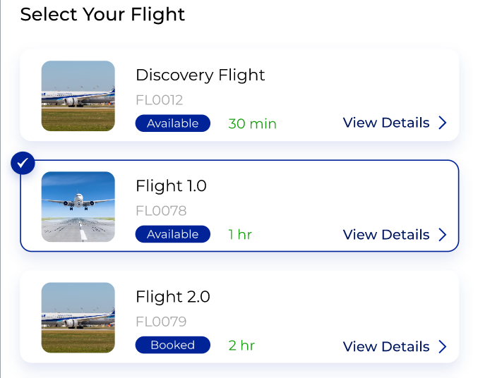 Flight Booking Interface